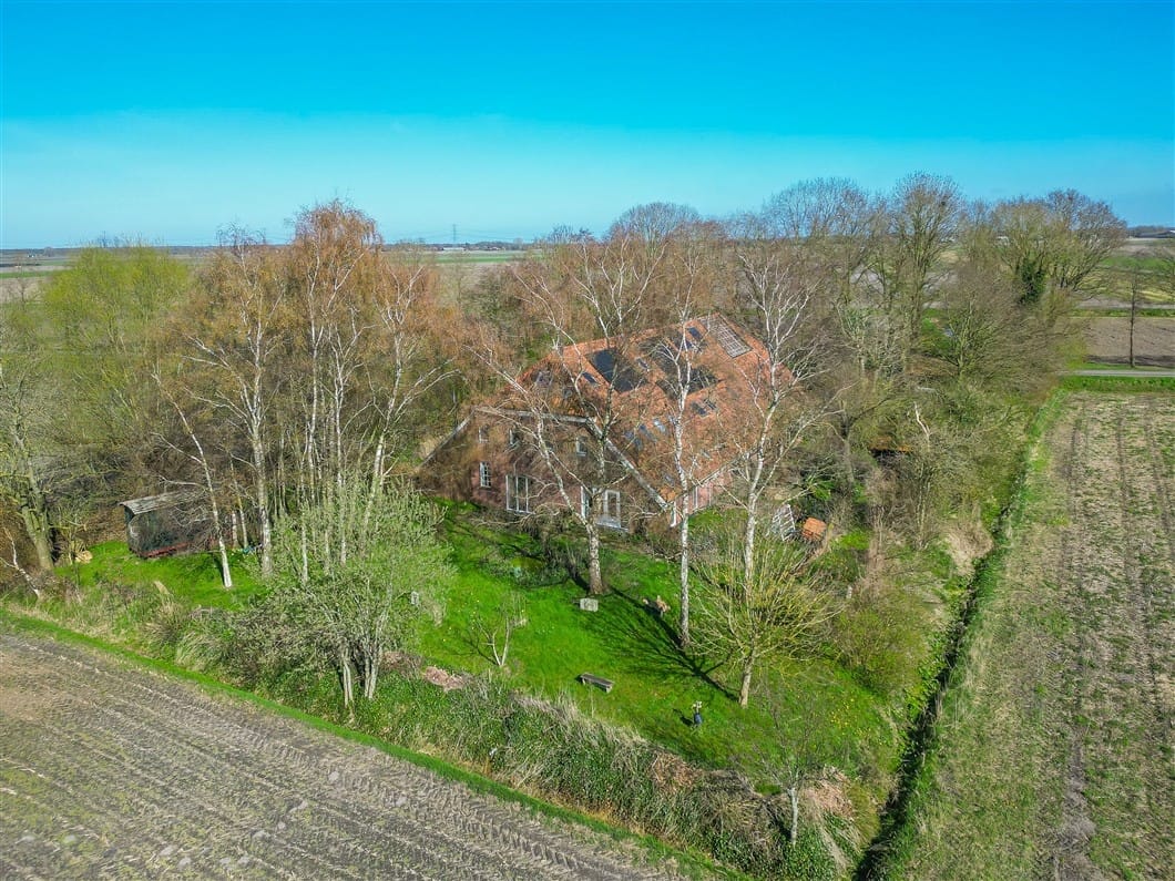 Photo 92 of Numero Dertien 8