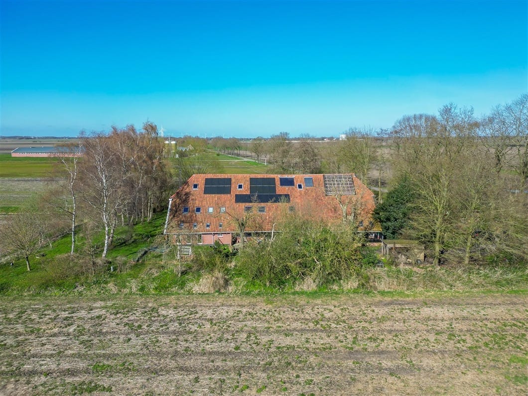 Photo 93 of Numero Dertien 8