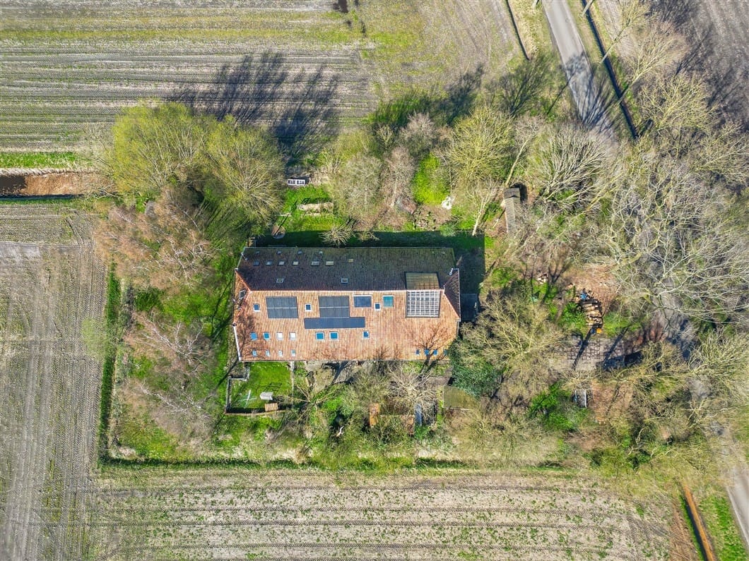 Photo 94 of Numero Dertien 8