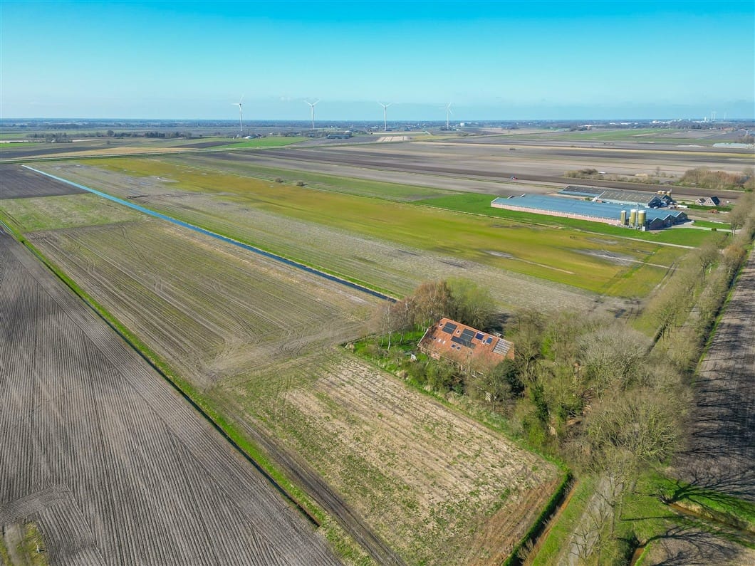 Photo 95 of Numero Dertien 8