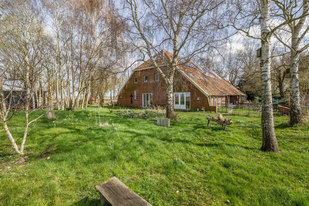 Photo 61 of Numero Dertien 8