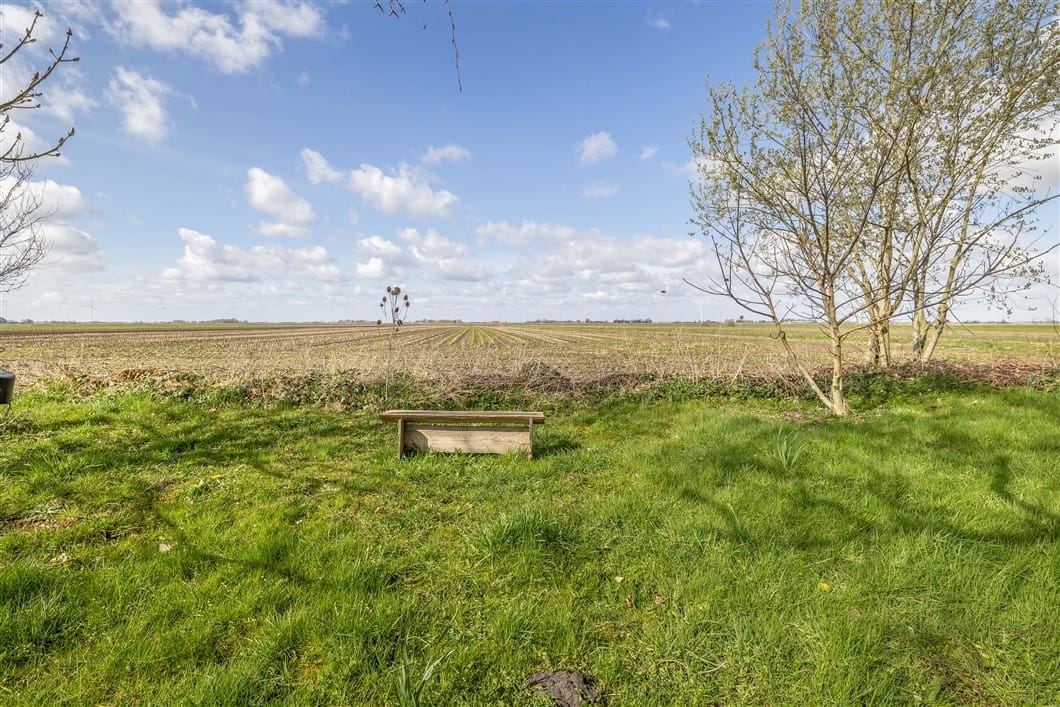 Photo 83 of Numero Dertien 8