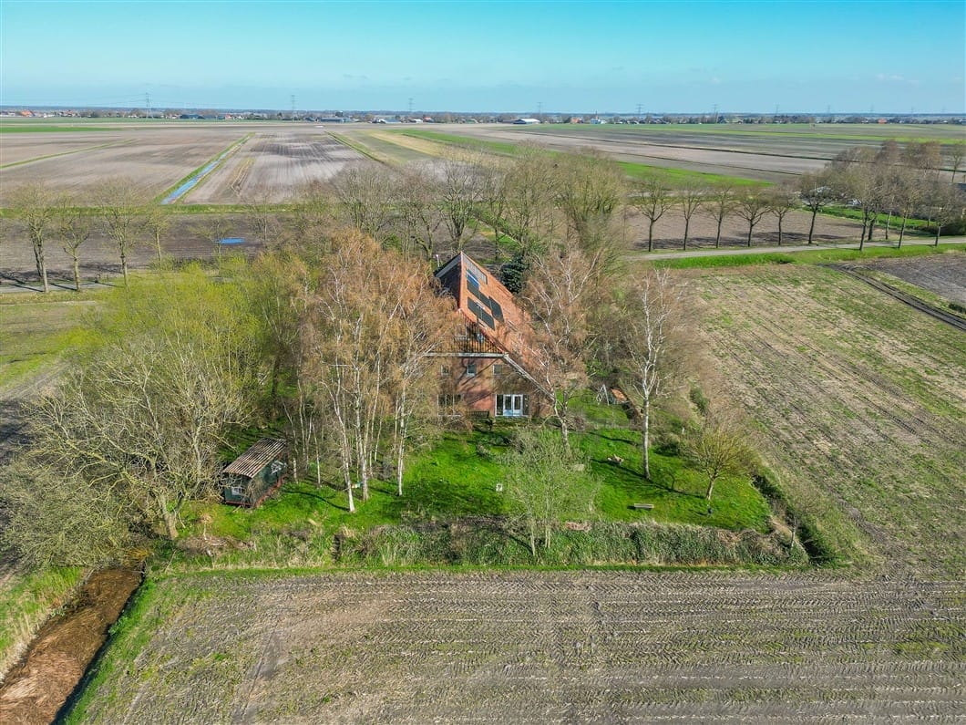 Photo 91 of Numero Dertien 8