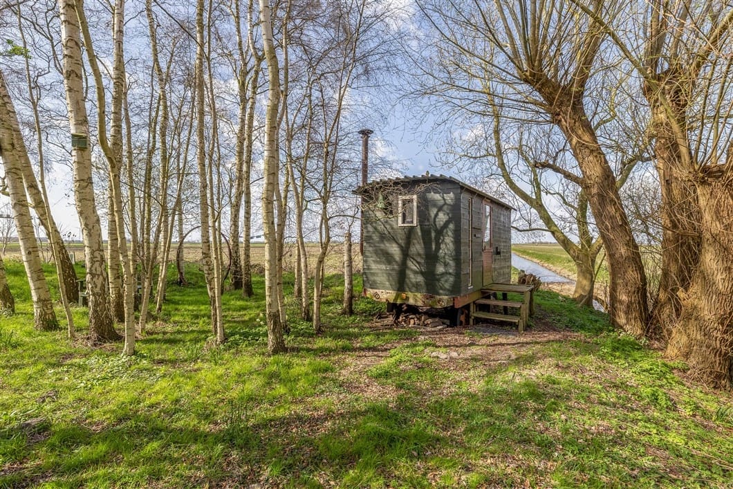 Photo 65 of Numero Dertien 8