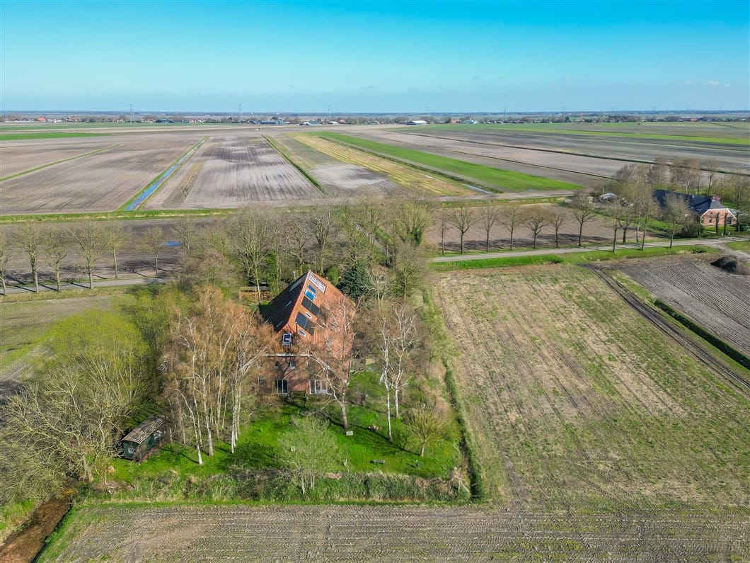 Photo 90 of Numero Dertien 8