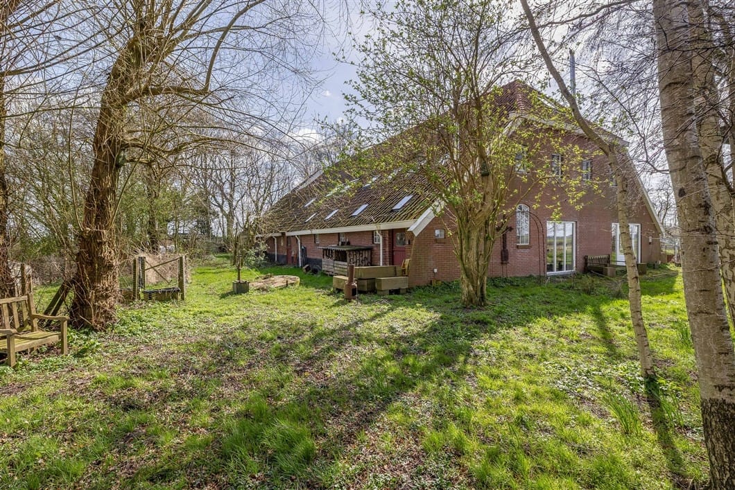 Photo 68 of Numero Dertien 8