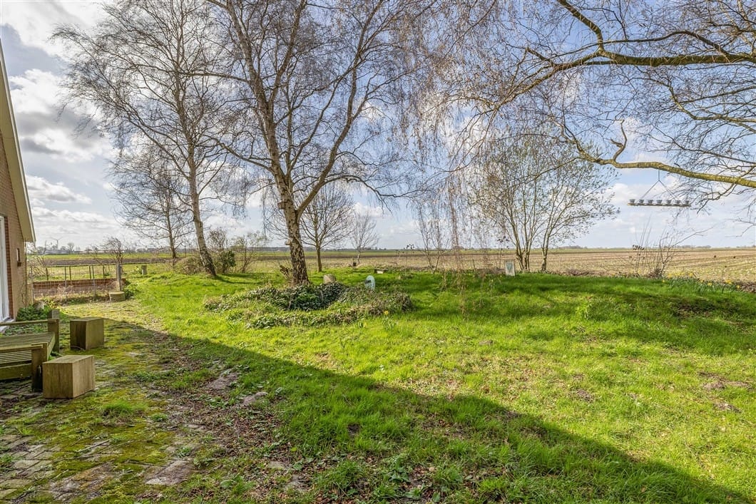 Photo 86 of Numero Dertien 8