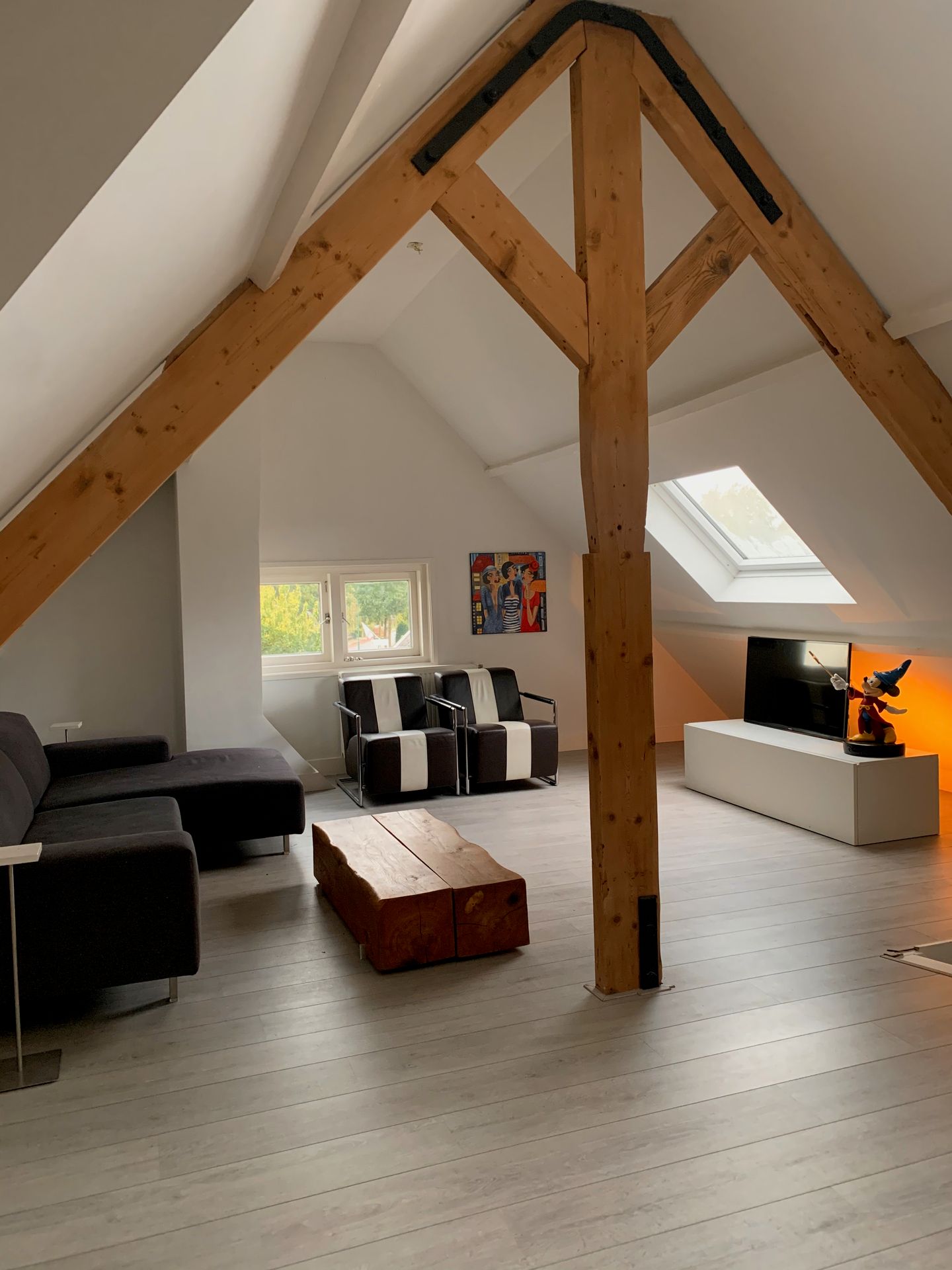 Foto 5 van Nieuw-Loosdrechtsedijk 108