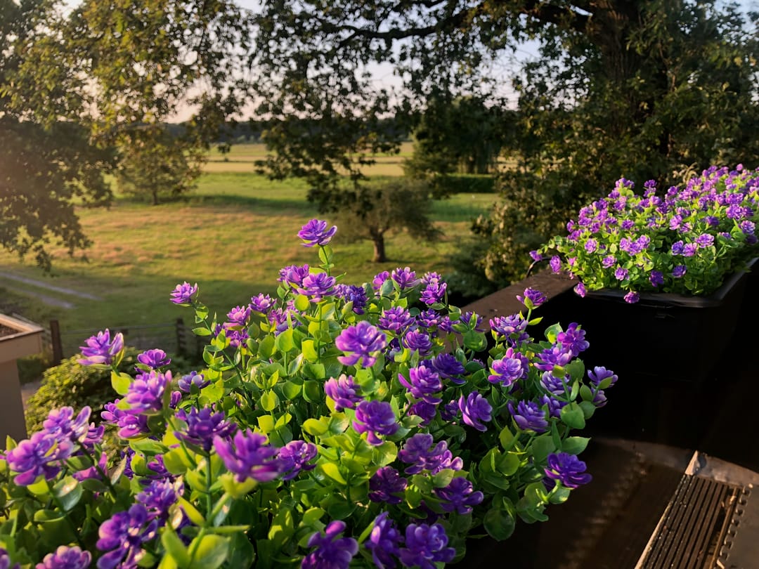 Foto 22 van Nieuw-Loosdrechtsedijk 108