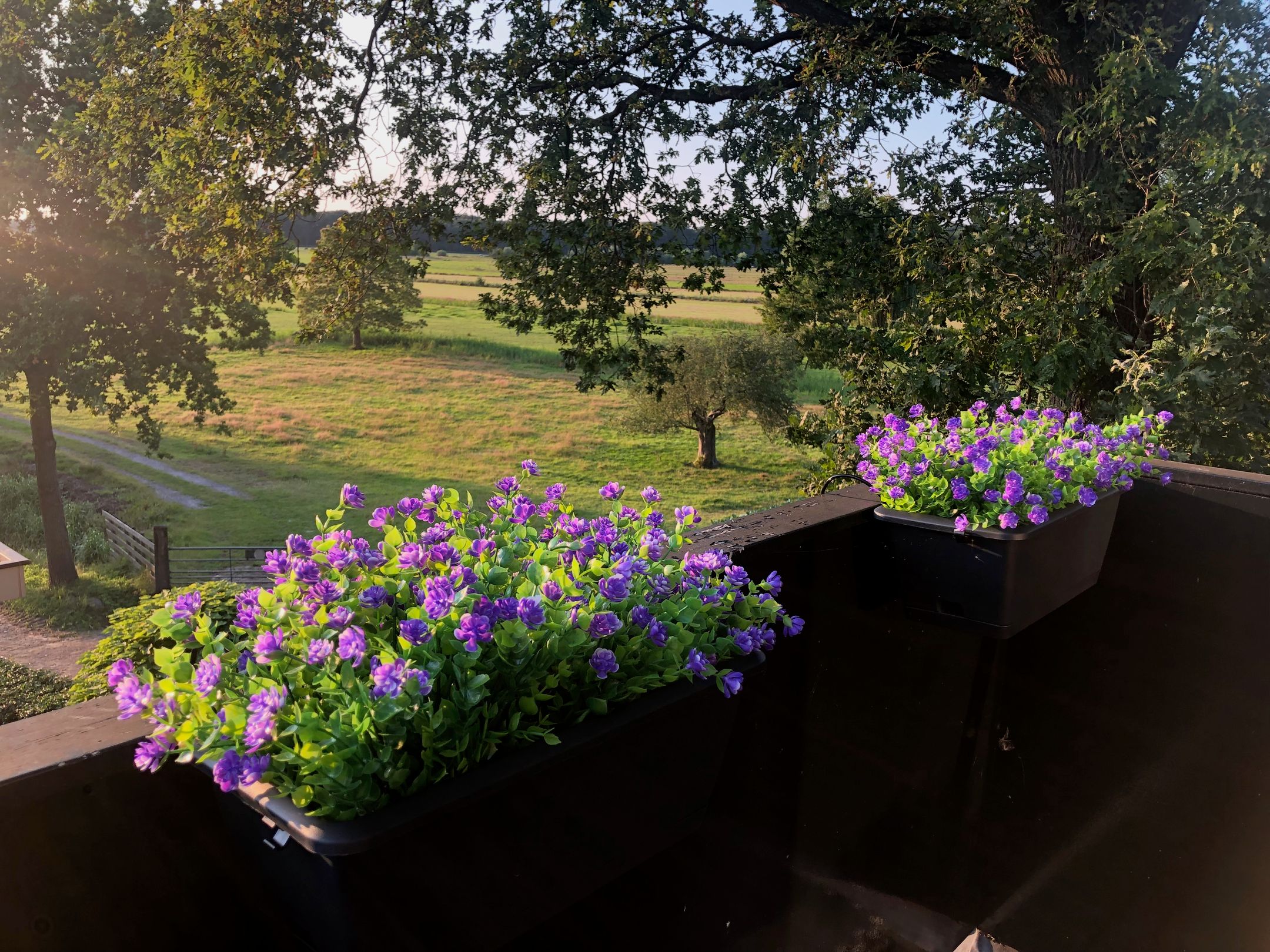 Foto 21 van Nieuw-Loosdrechtsedijk 108