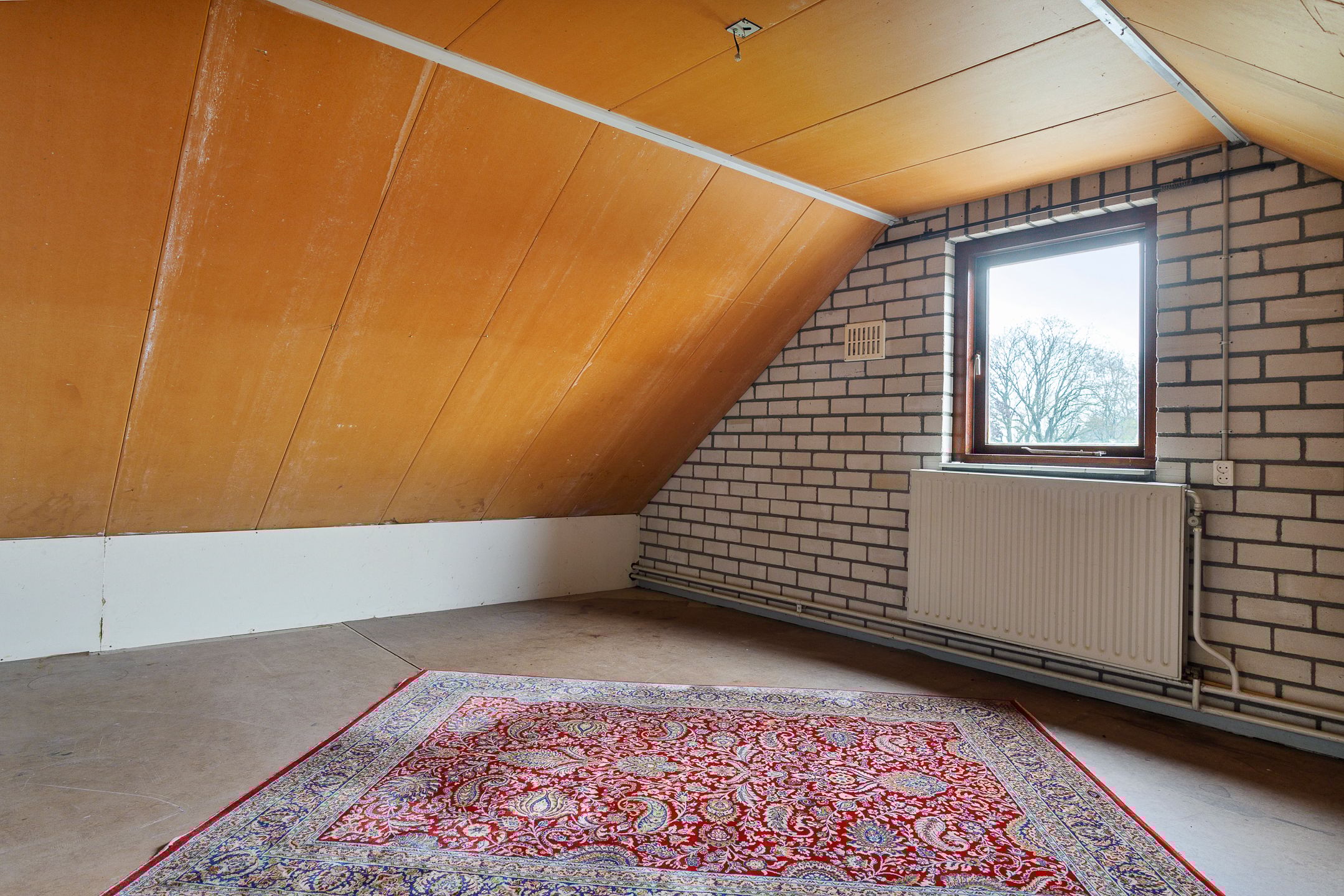 Photo 30 of Monseigneur Geurtsstraat 3