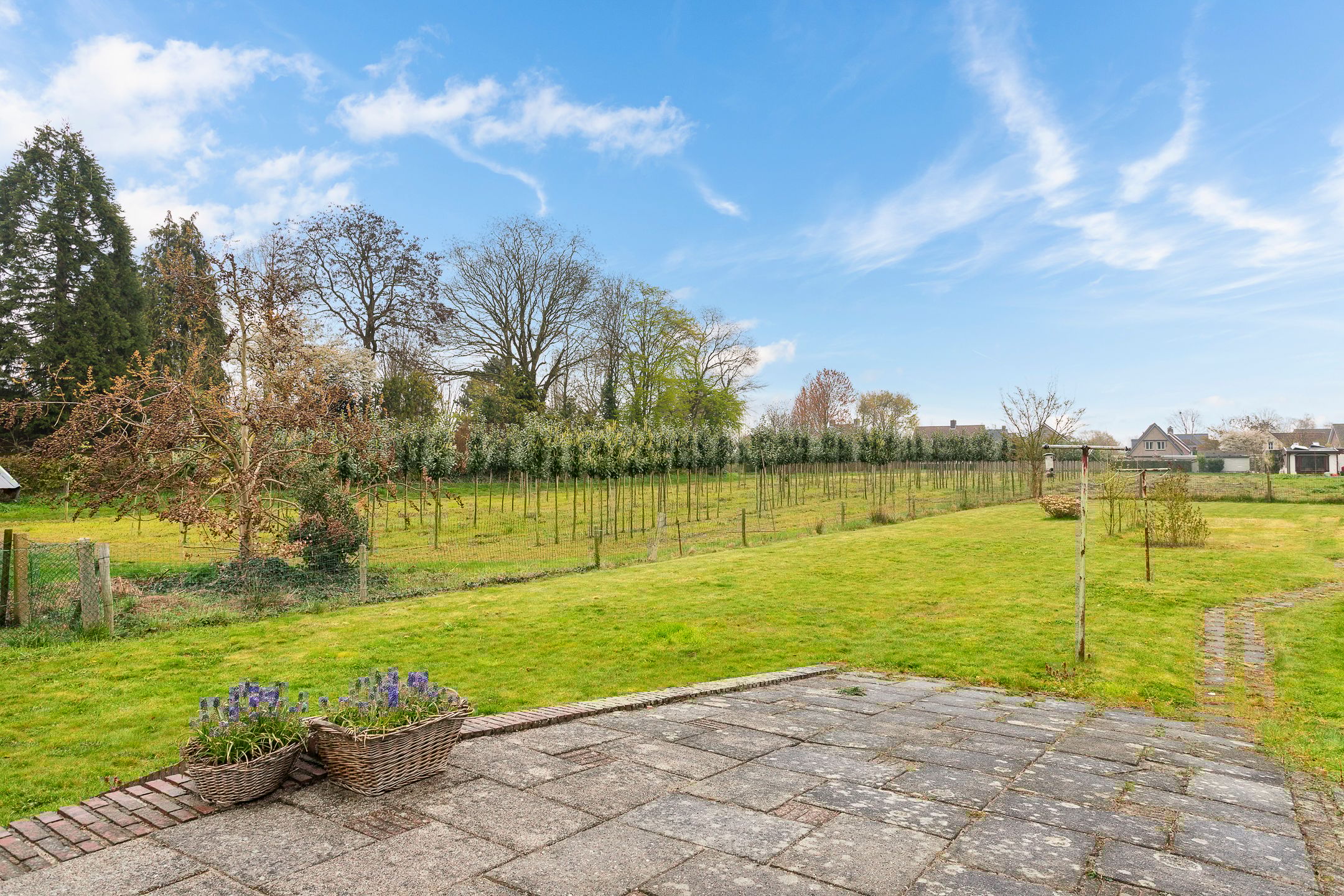 Photo 36 of Monseigneur Geurtsstraat 3