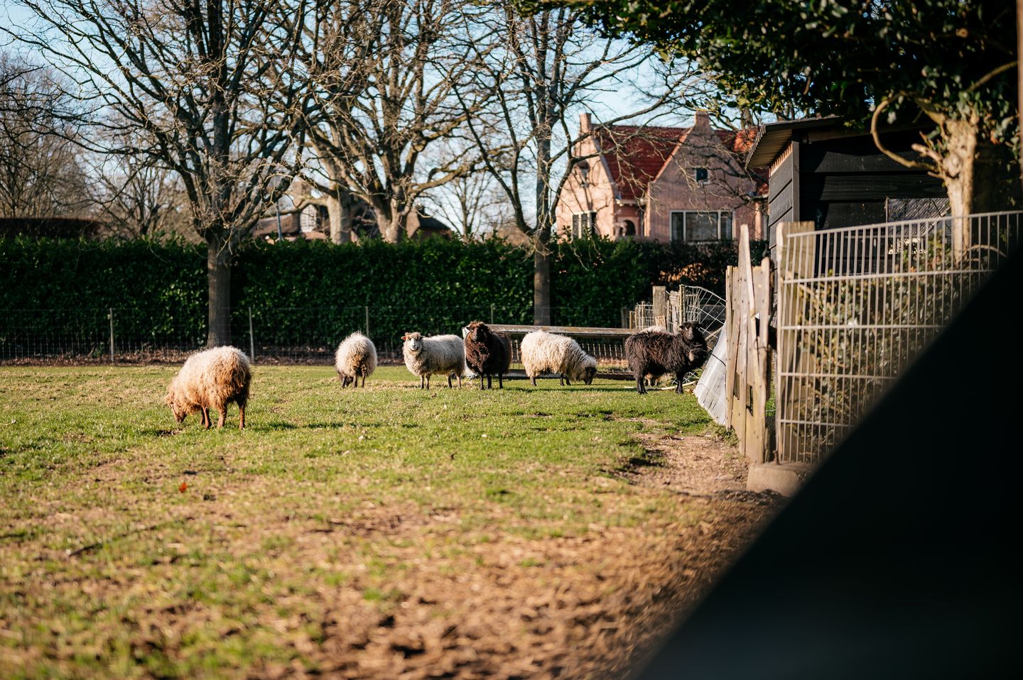 Foto 5 van Oosterend 1-A