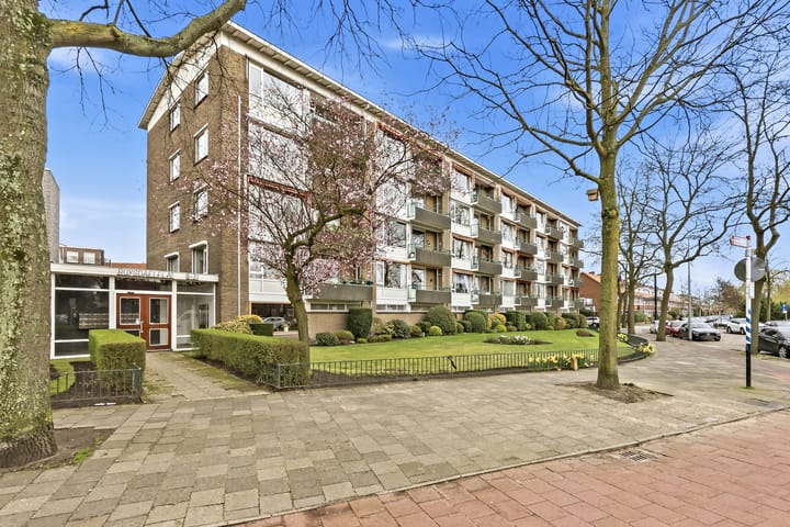 Foto 3 van Ruysdaelplein 13