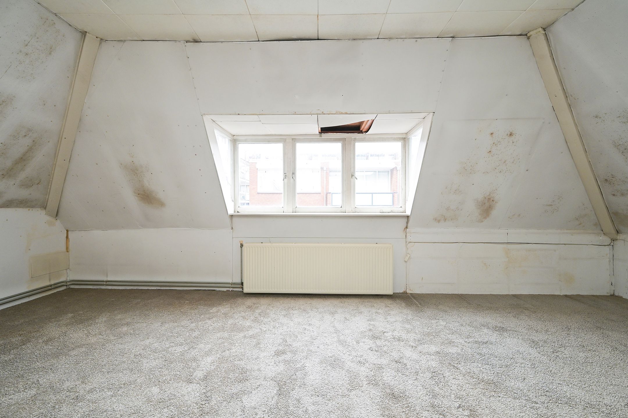 Foto 36 van Frederikstraat 58