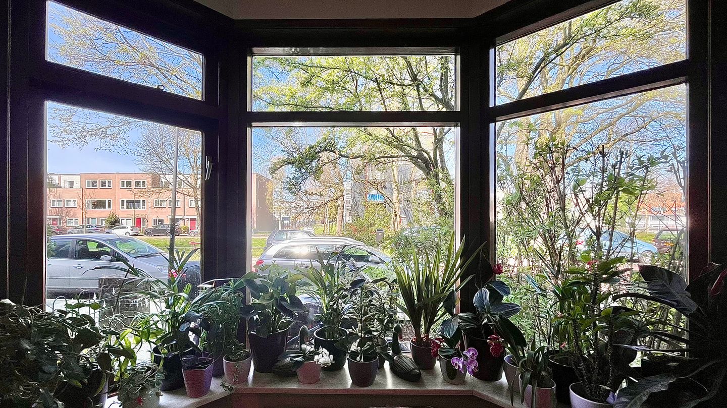 Foto 19 van Broekslootkade 161