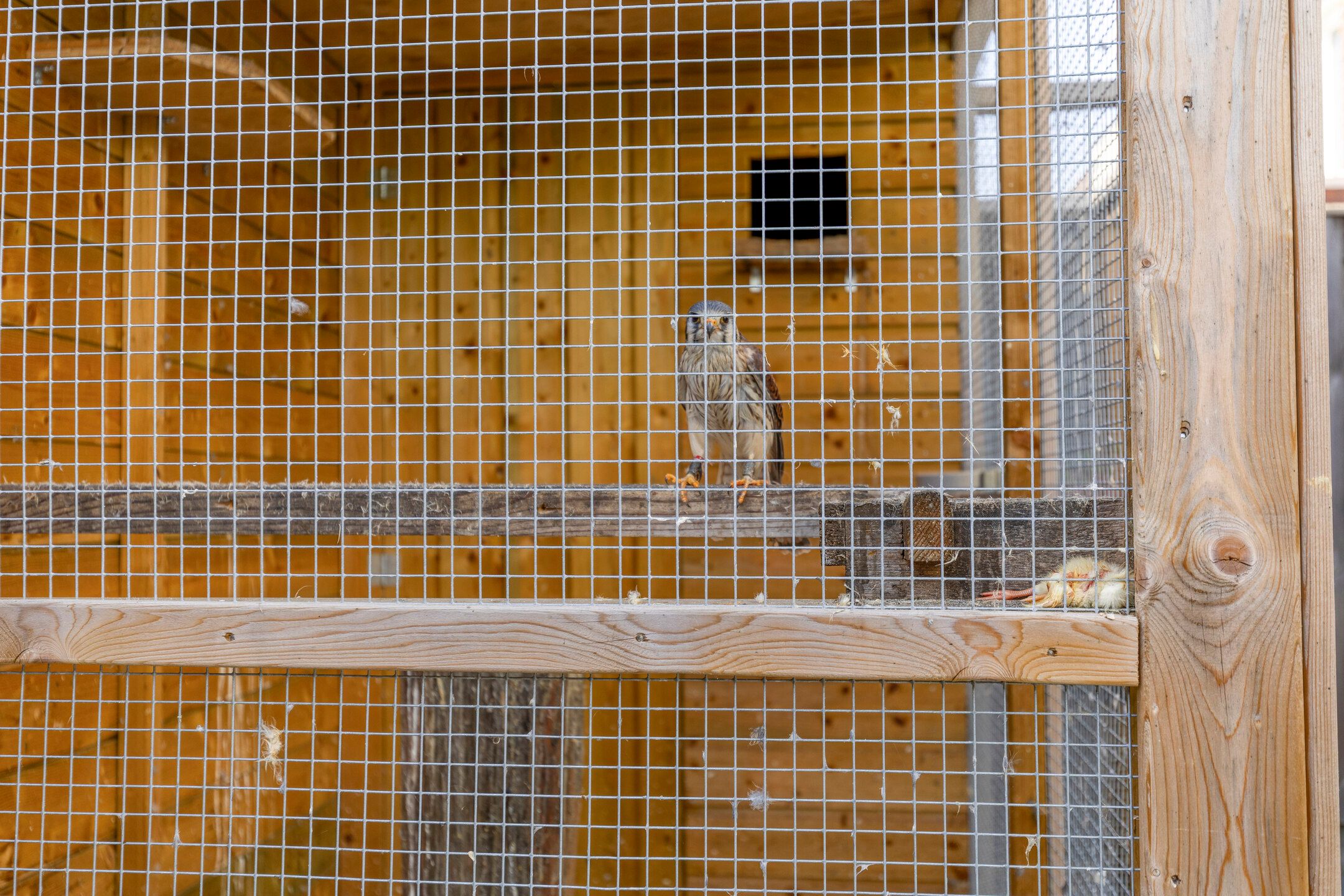 Foto 33 van Haaghout 5