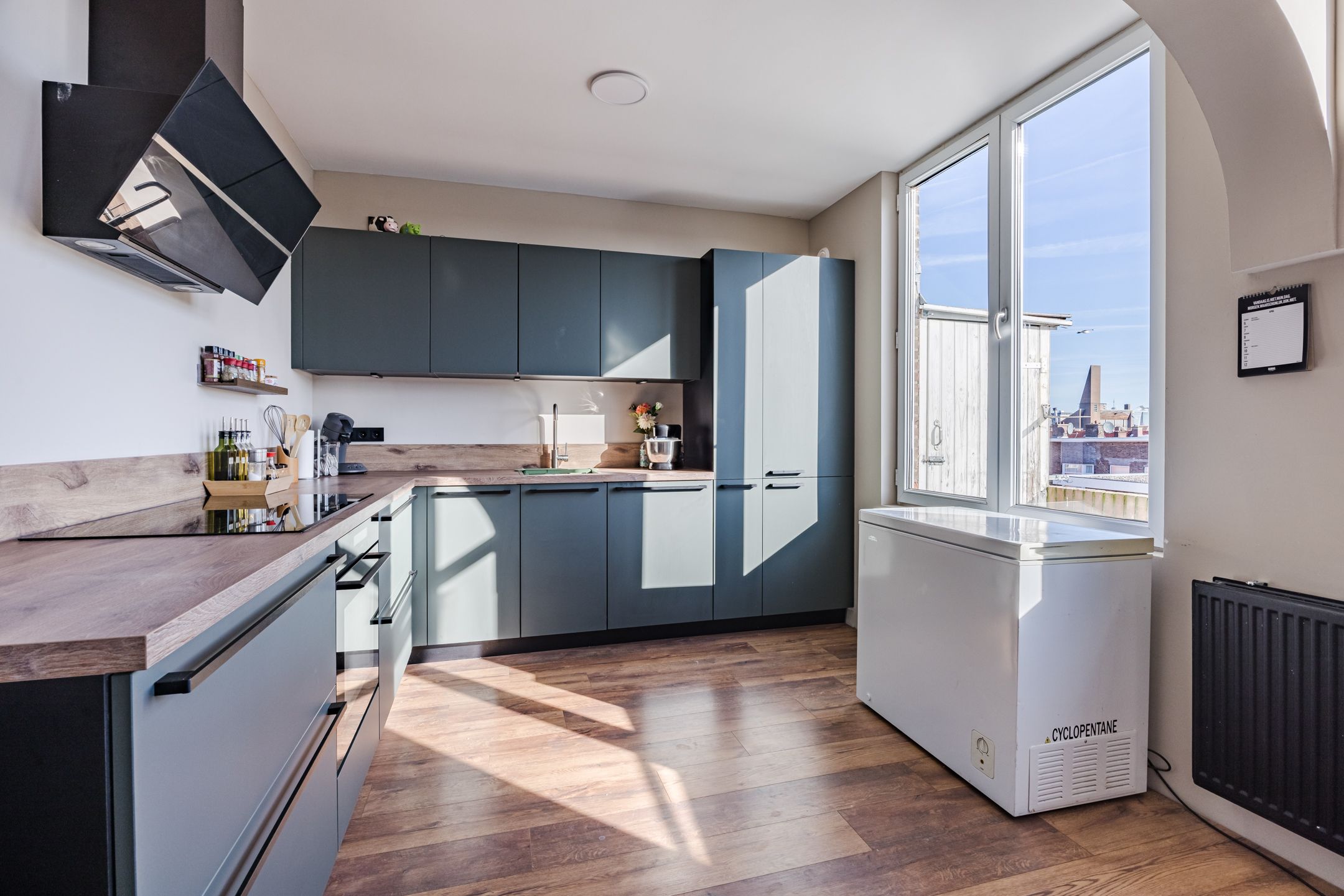 Haverschmidtstraat 50 