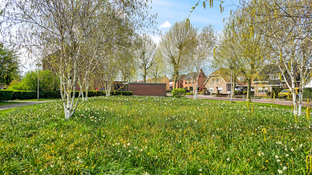 Spacious extended semi-detached home with four bedrooms in St. Willebrord — 74