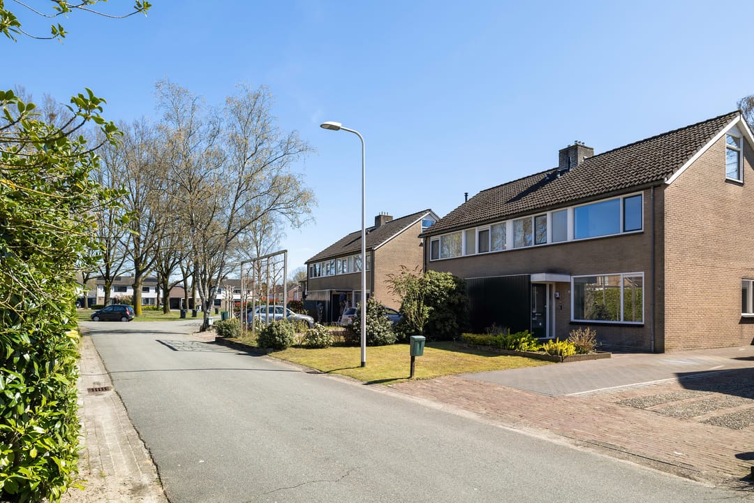 Photo 41 of Ter Borghstraat 13