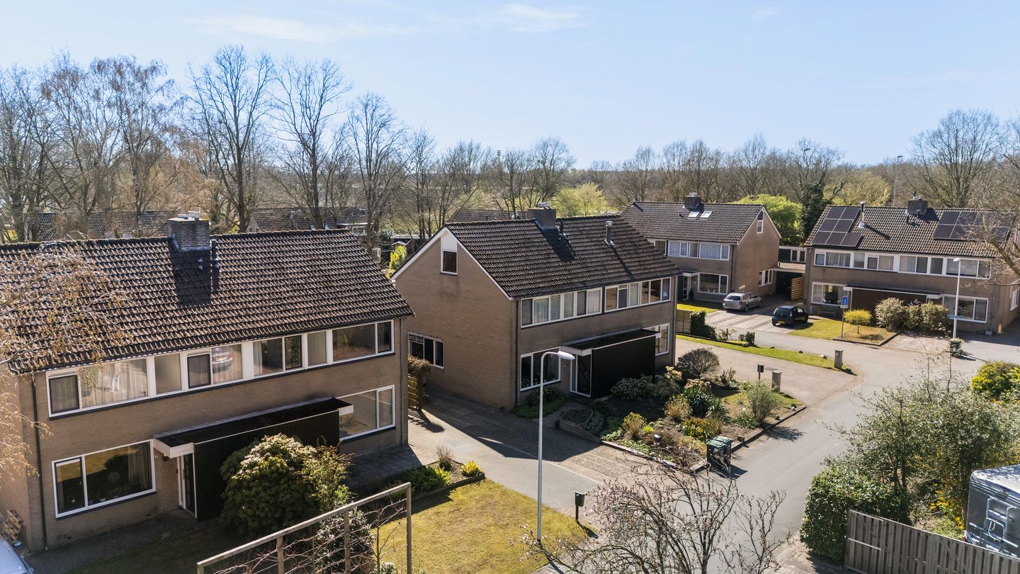 Photo 44 of Ter Borghstraat 13