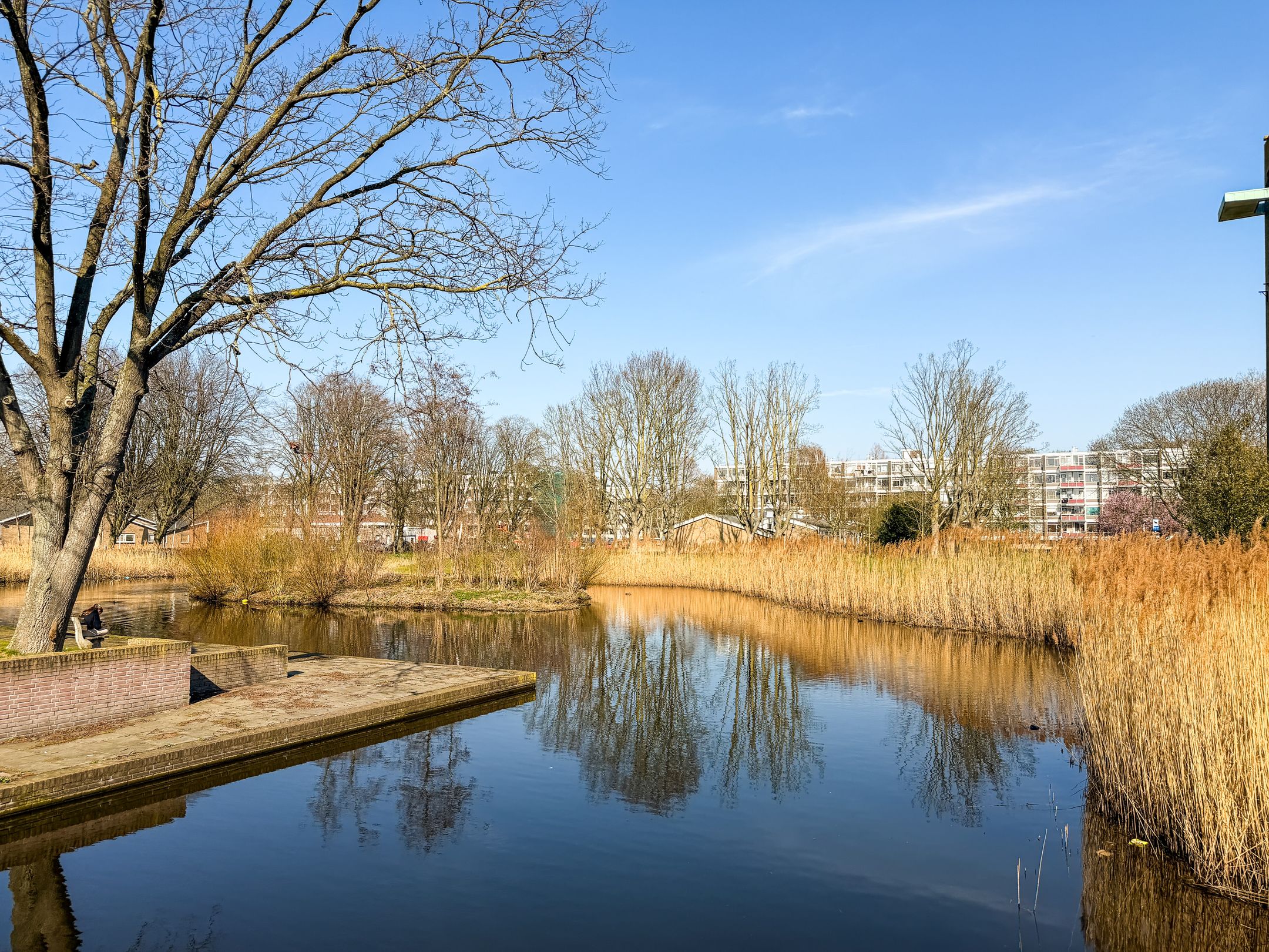 Foto 24 van Burgemeester Keijzerlaan 28