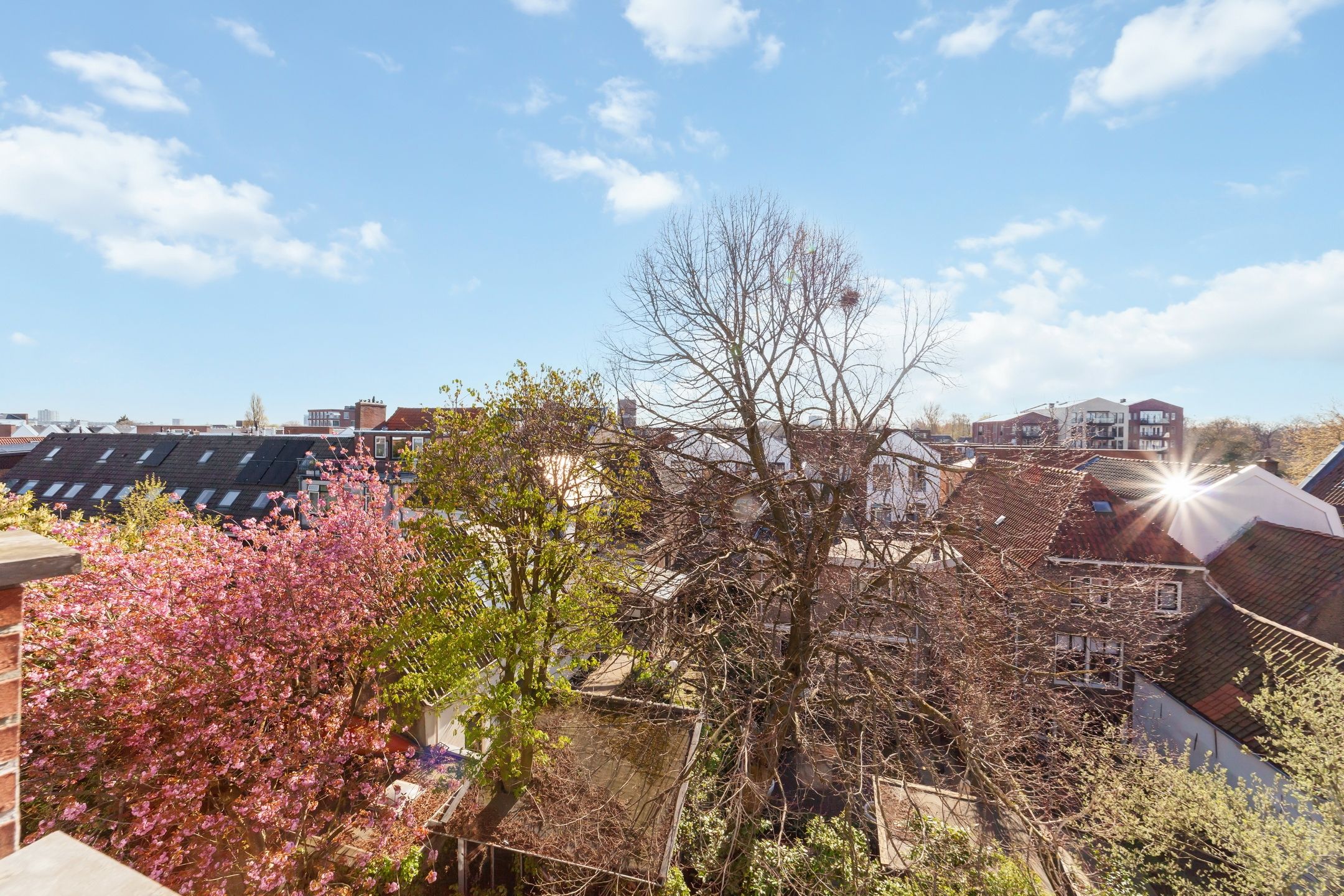 Photo 21 of Delftseveerweg 51-D