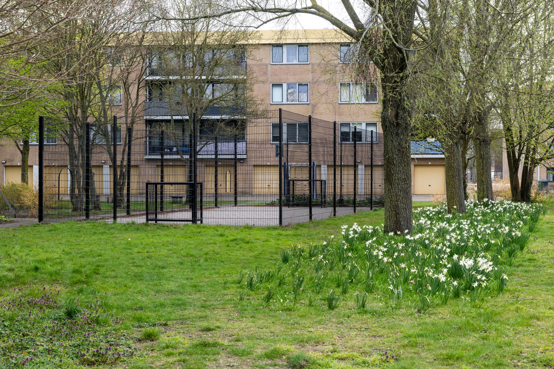 Foto 27 van Jan van Zutphenstraat 63