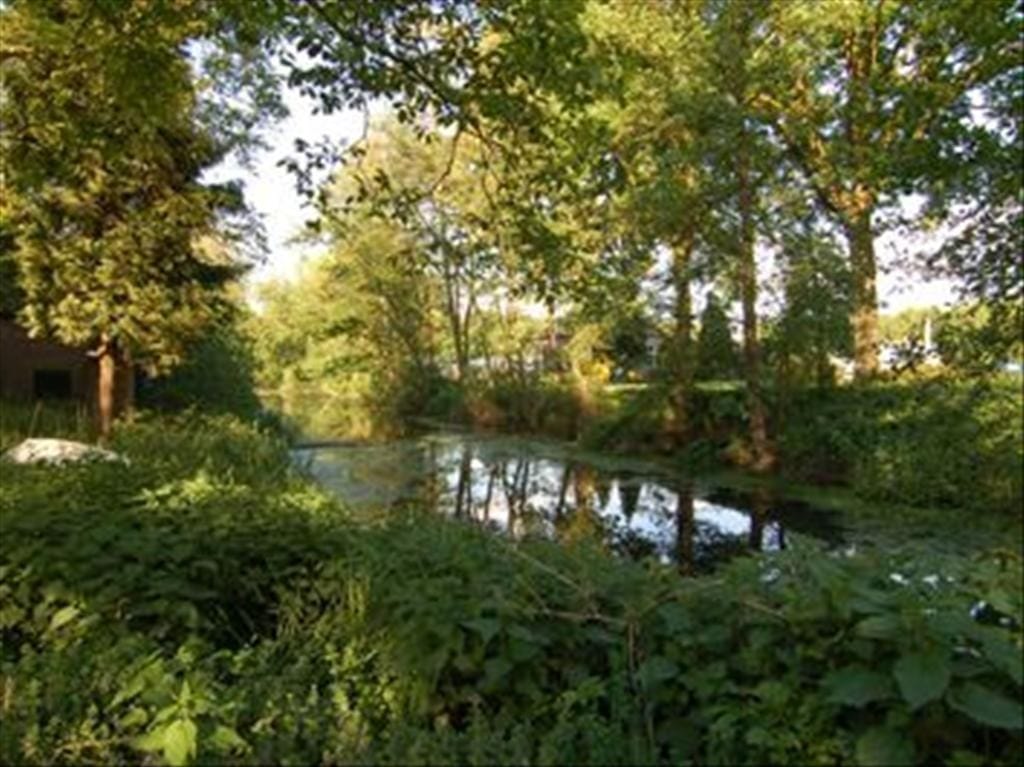 Foto 16 van Rector Nuijtsstraat 13