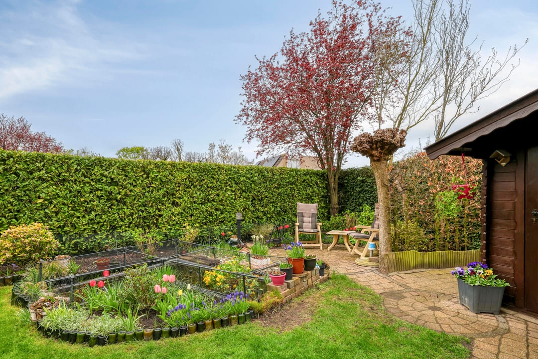 Photo 26 of Wouter Berthoutlaan 31