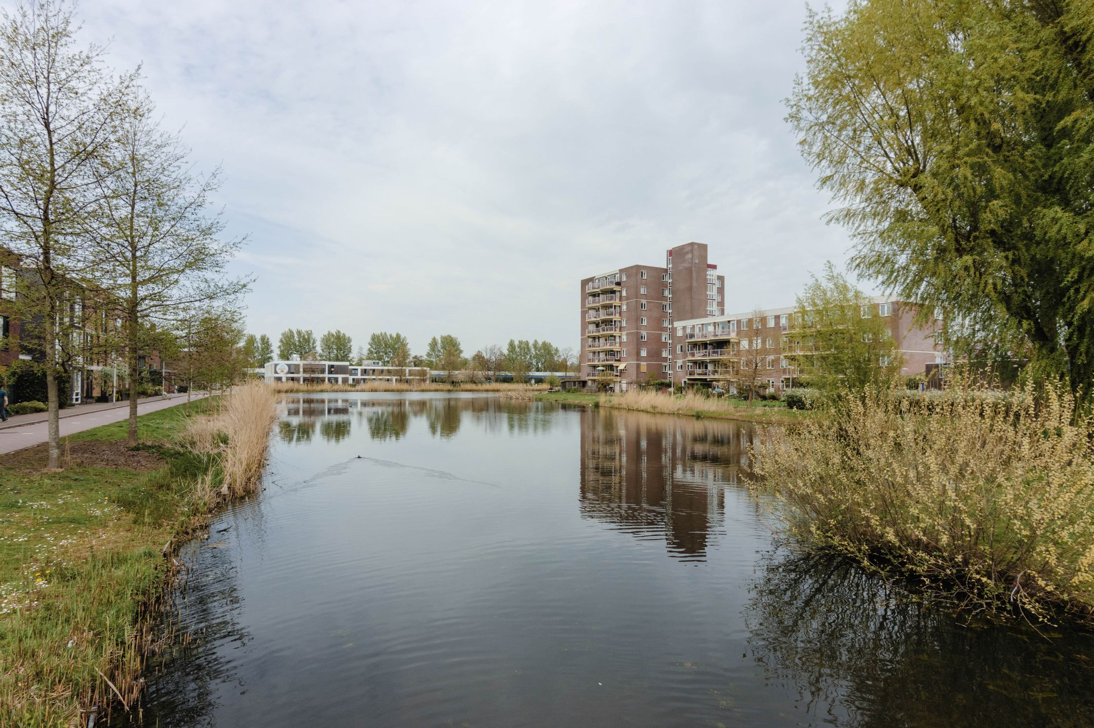 Foto 6 van Frans Halsstraat 27