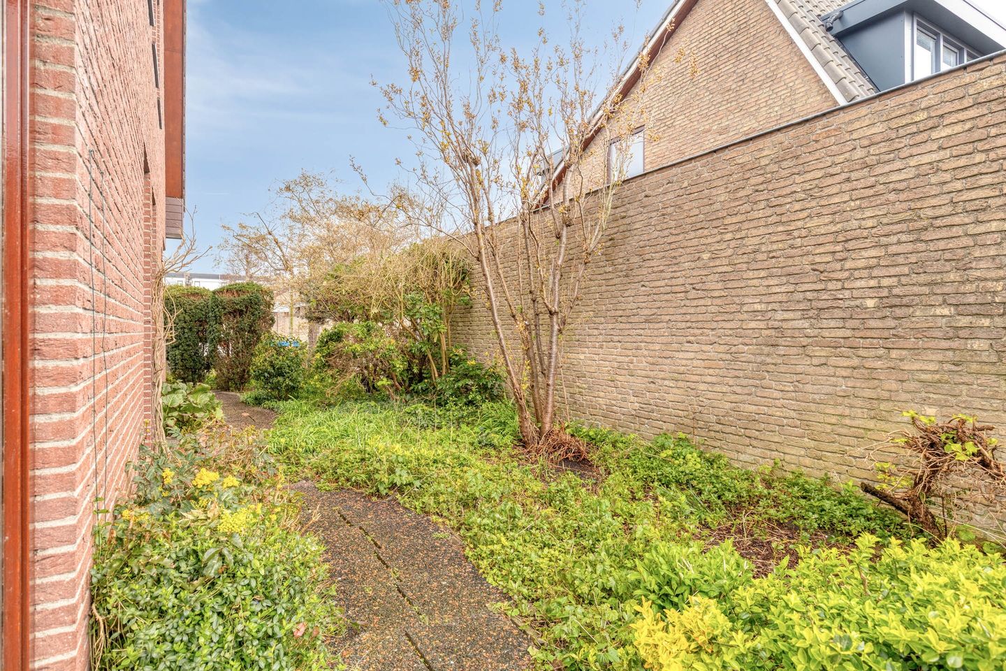 Foto 64 van Baanderheer 8