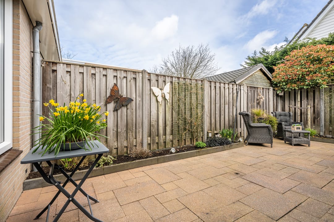 Photo 28 of Plataan 15