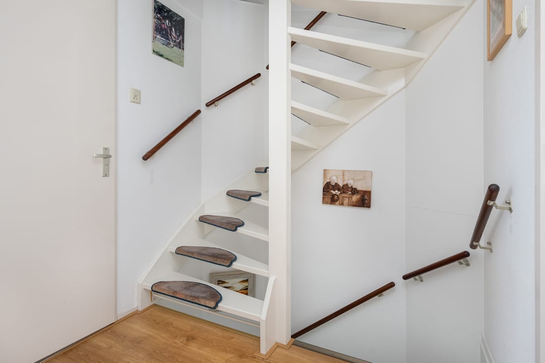 Photo 16 of Plataan 15