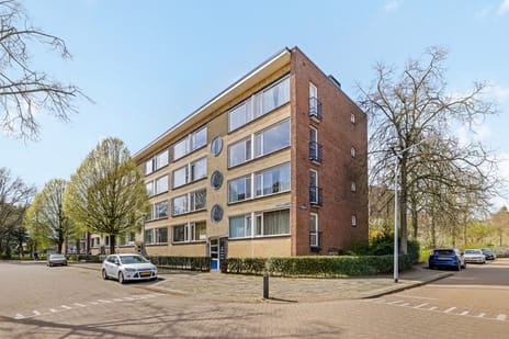 Willem de Mérodestraat thumbnail