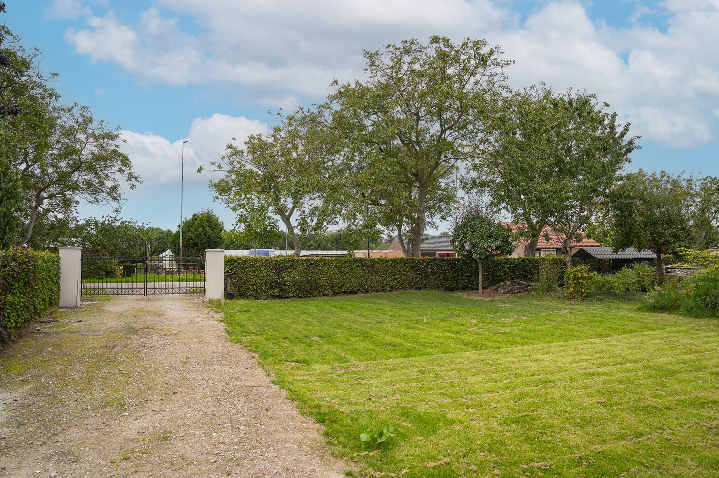 Photo 5 of Duizendmorgen