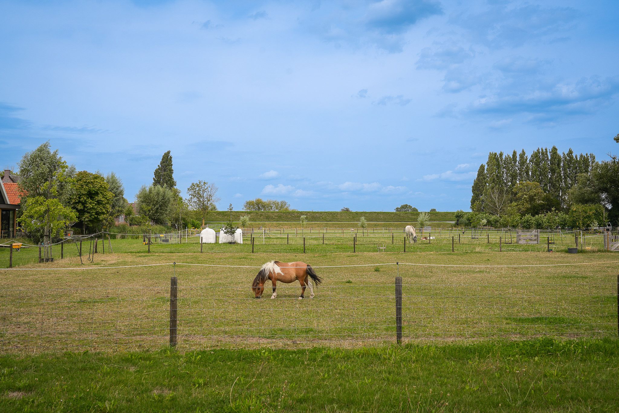 Photo 12 of Duizendmorgen