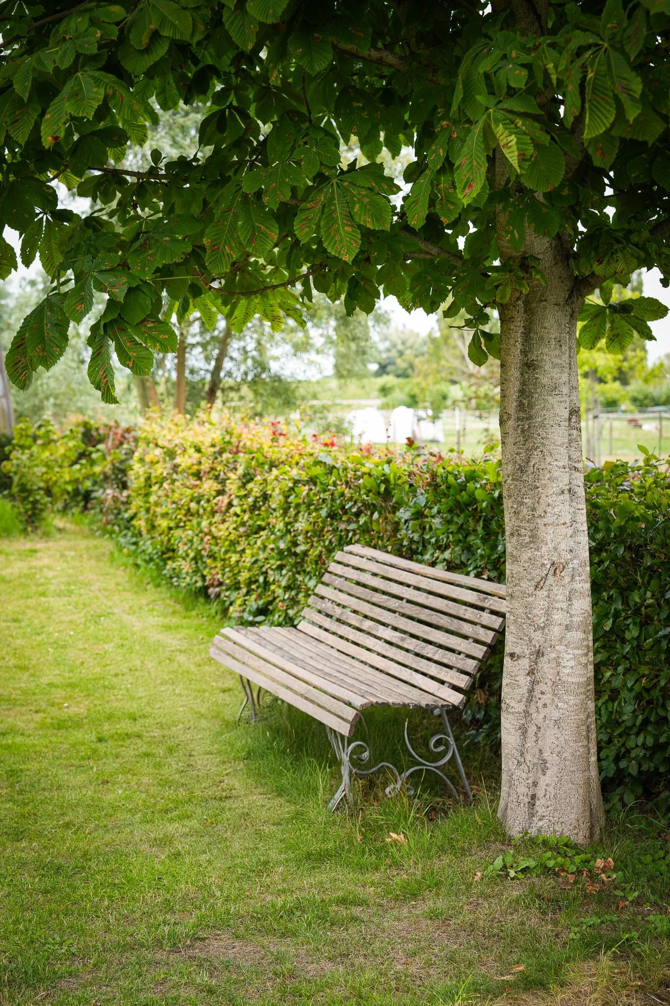 Photo 14 of Duizendmorgen