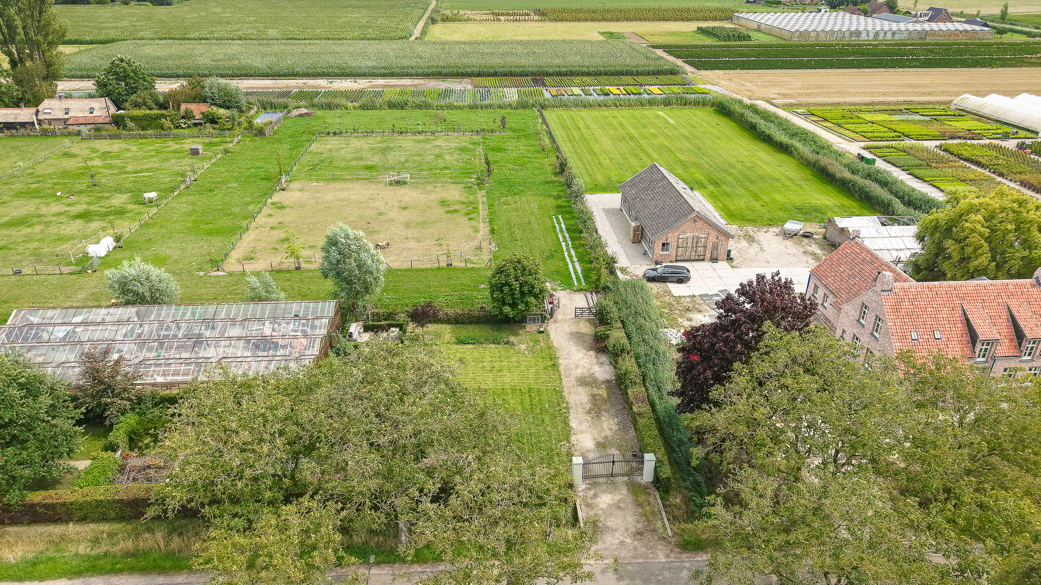 Photo 21 of Duizendmorgen