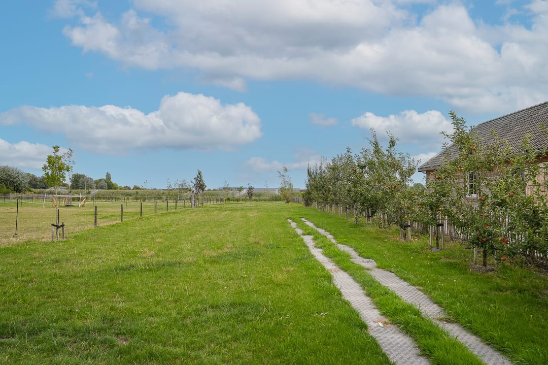 Photo 7 of Duizendmorgen