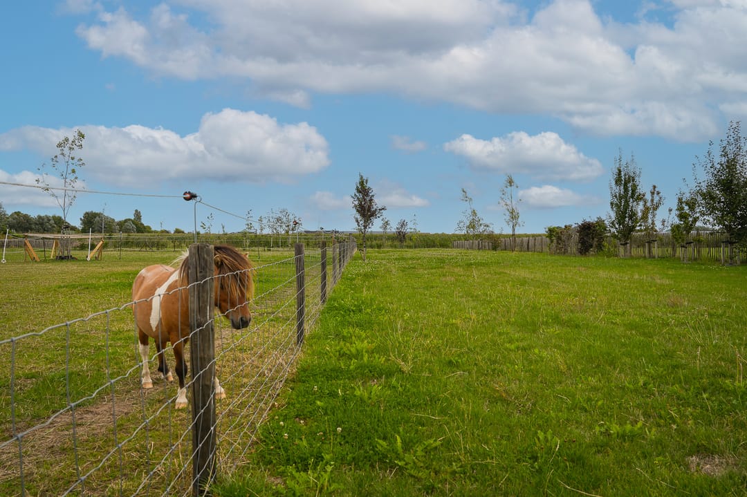 Photo 13 of Duizendmorgen