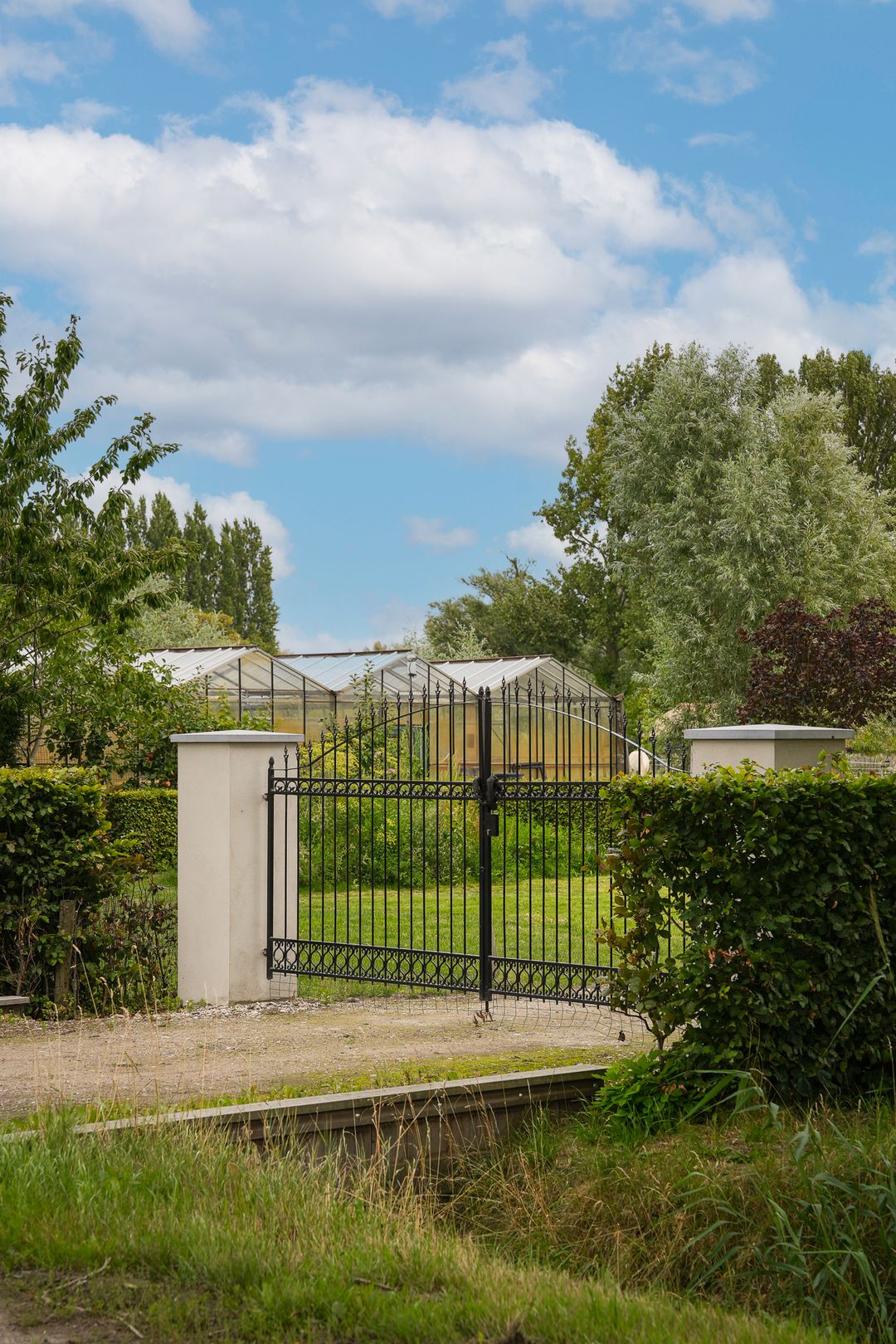 Photo 2 of Duizendmorgen