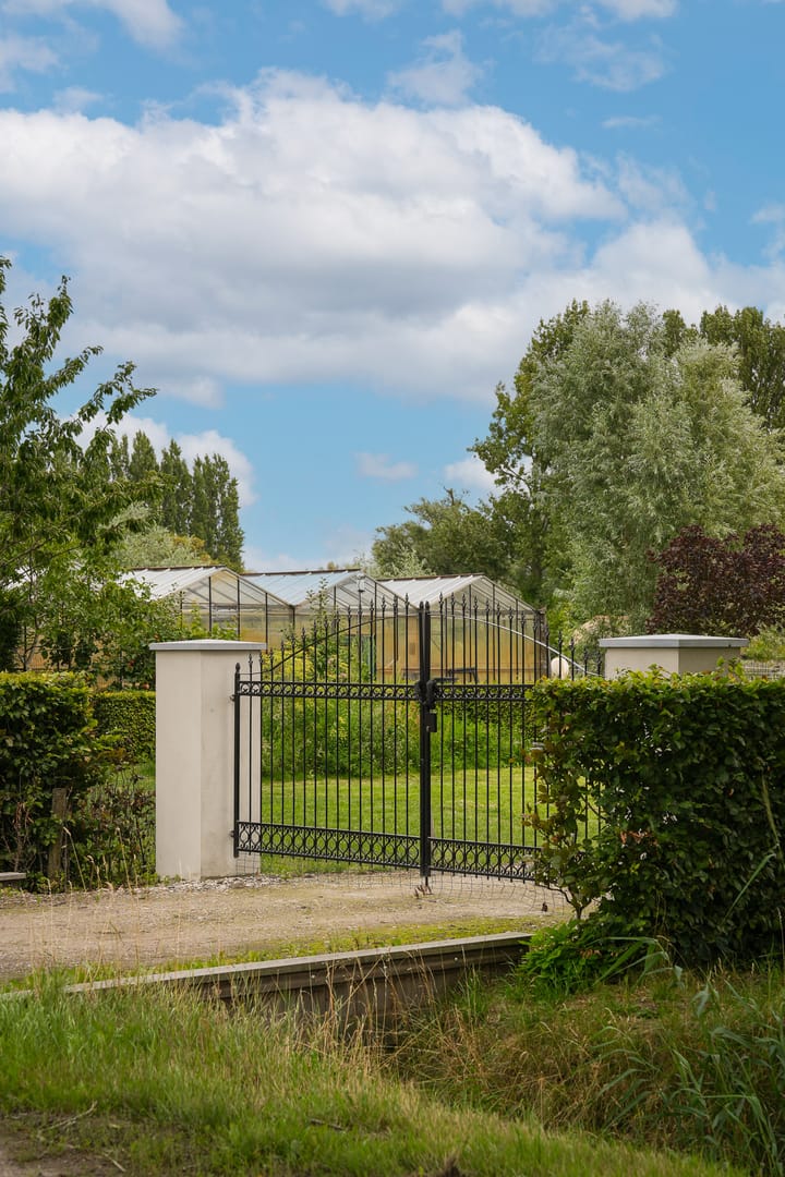 Foto 2 van Duizendmorgen