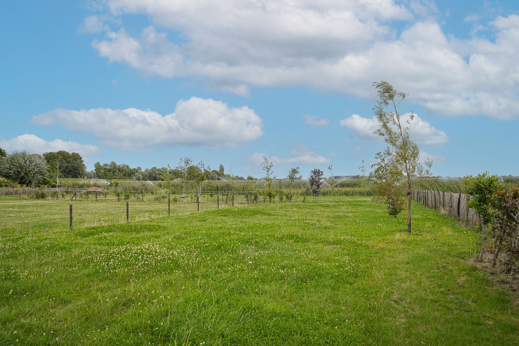 Photo 9 of Duizendmorgen