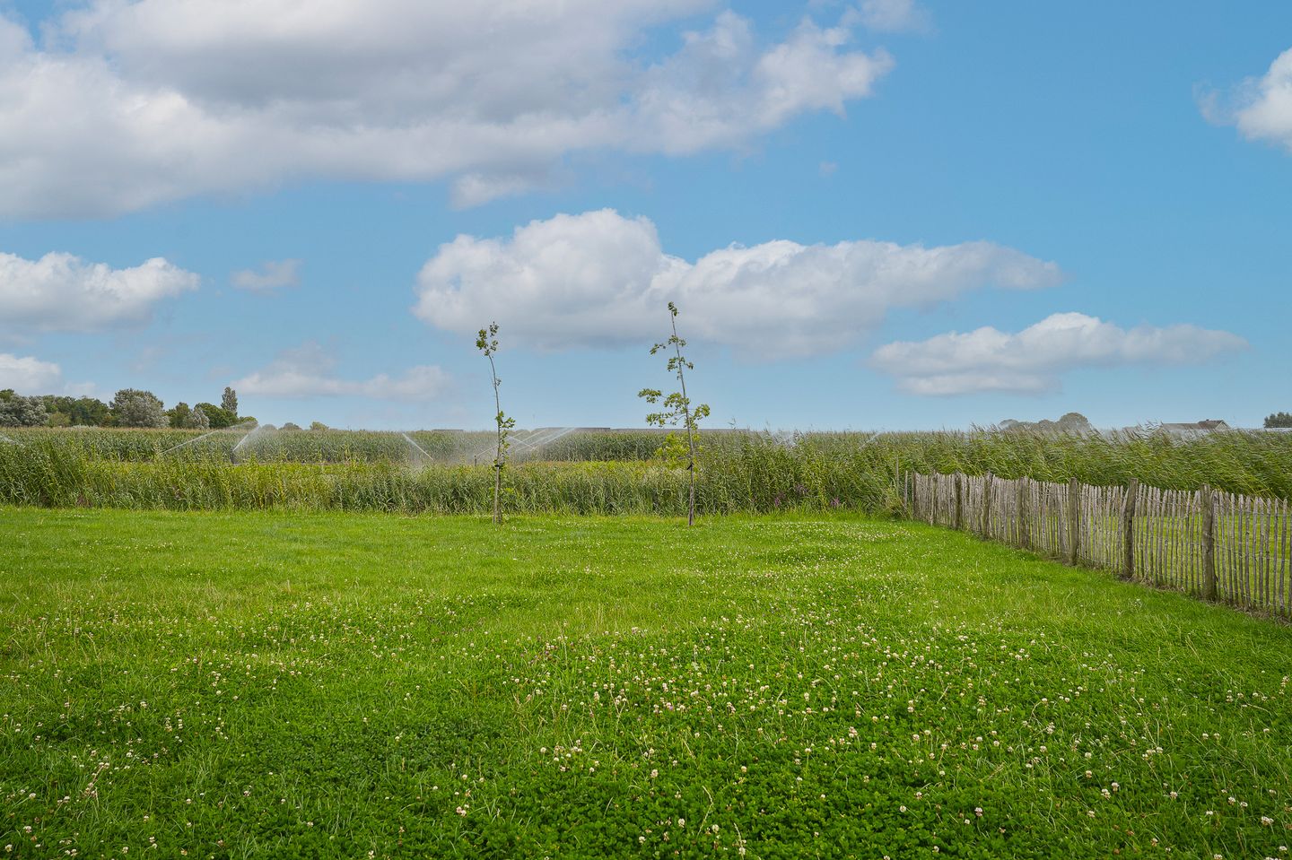 Photo 10 of Duizendmorgen