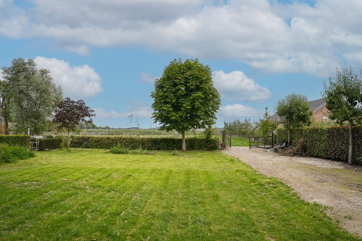 Photo 4 of Duizendmorgen