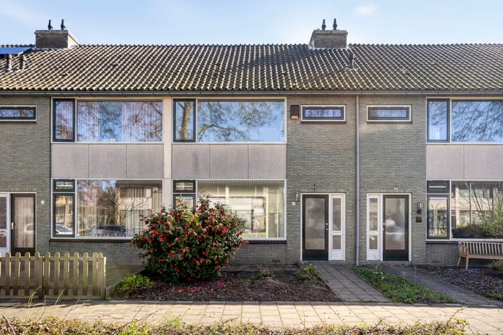 Zaan 17