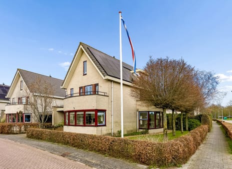 Magneetveld thumbnail