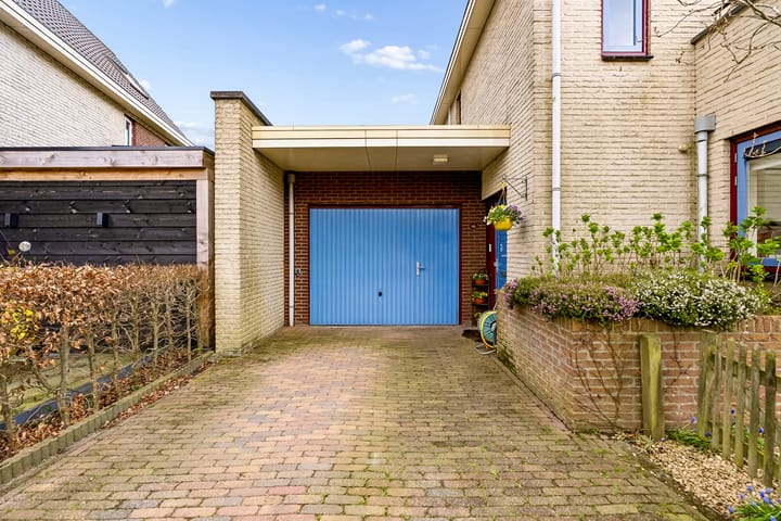 Foto 4 van Magneetveld 66