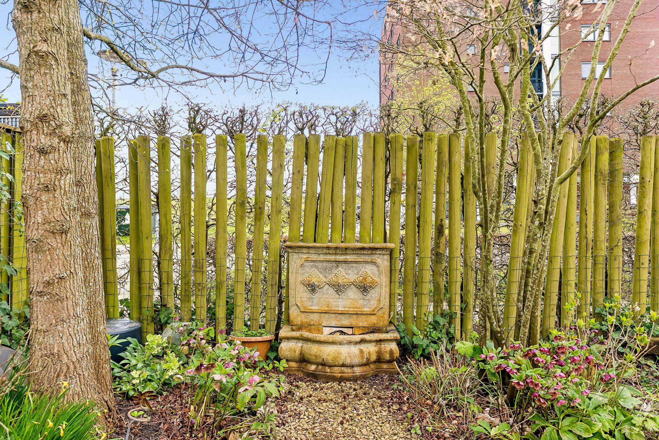 Foto 48 van Magneetveld 66